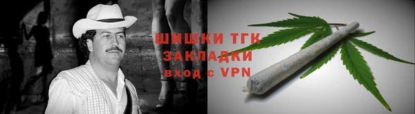 гидра Алексеевка