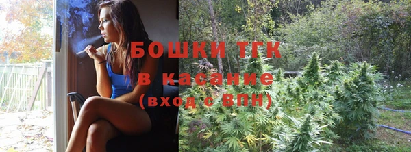 гидра Алексеевка