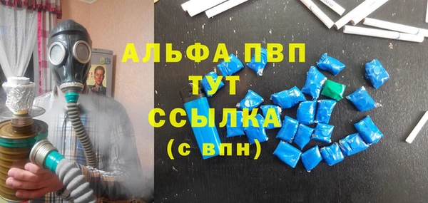 спиды Аркадак