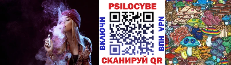 Галлюциногенные грибы Psilocybe  Купить где  Белоозёрский 